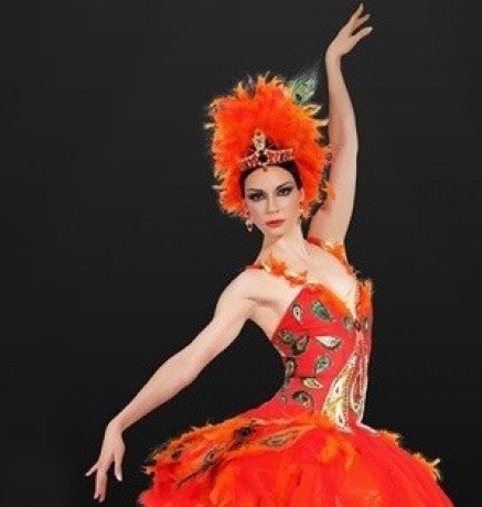 The-Fire-Bird-by-Maria-Alexandrova-500x315